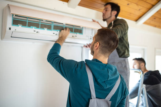 Best Heating Repair Services  in Nashville, MI